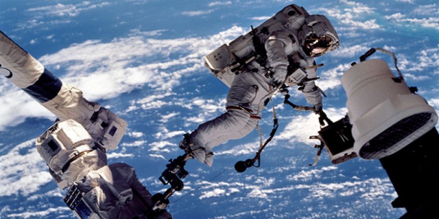 Gezegen koruma memuru aranıyor