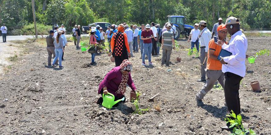 Afrika ülkelerine ormancılık eğitimi verildi