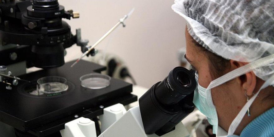 Kalp hastalığını tetikleyen gen onarıldı