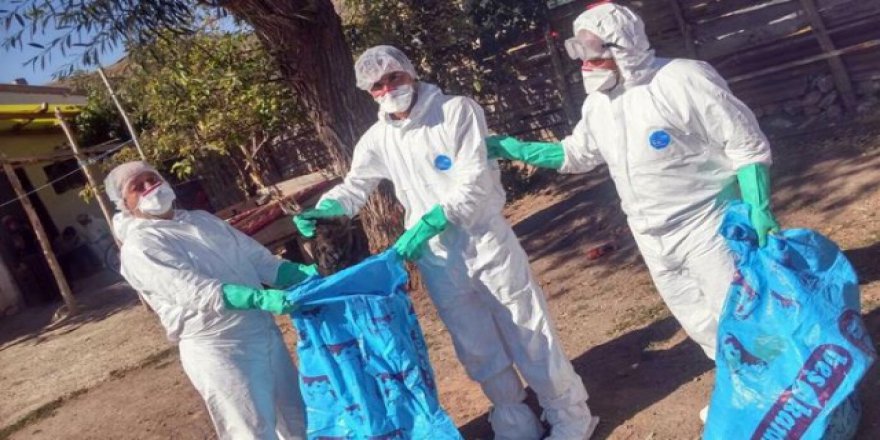 Sivas Valiliğinden "kuş gribi" açıklaması