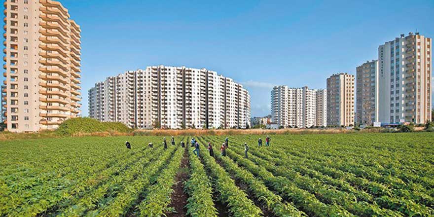 Türkiye tarım alanlarının yüzde 8,3'ünü kaybetti