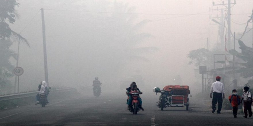 Endonezya'da kasıtlı orman yakanlar için 'vur' emri