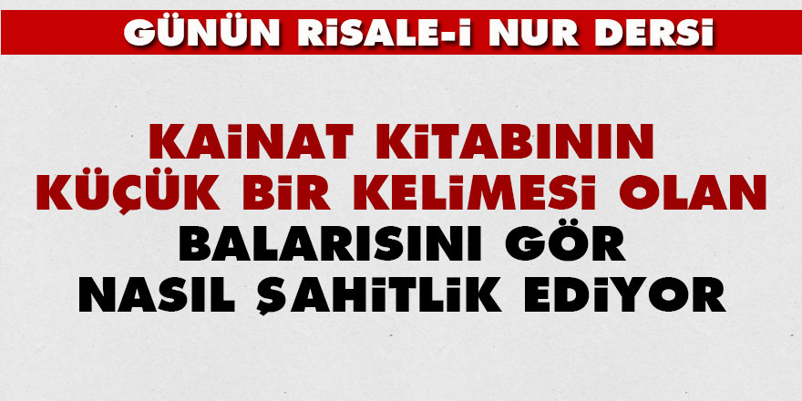 Kainat kitabının küçük bir kelimesi olan balarısını gör nasıl şahitlik ediyor