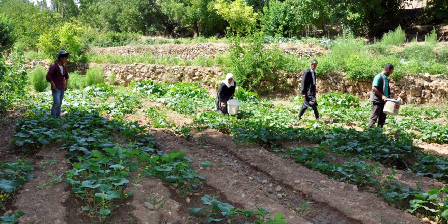 200 yıllık geleneği sürdüren köylüler hasta olmuyor