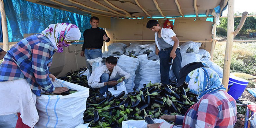 İhtiyaç sahipleri üreterek kazanıyor