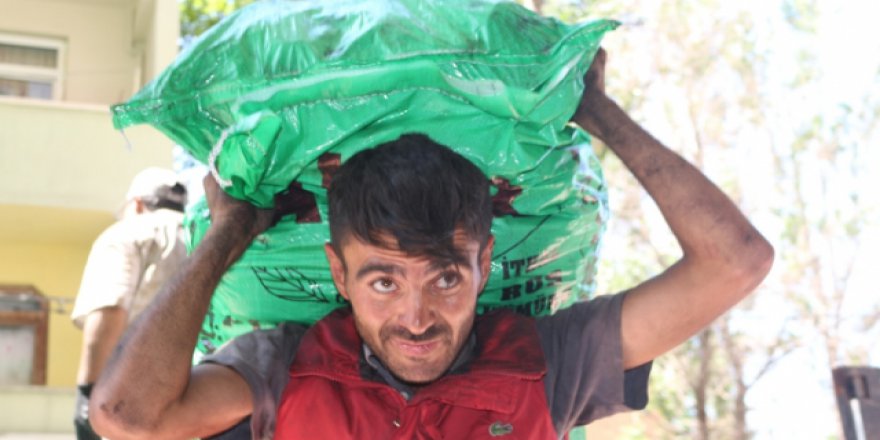 3 dil bilen üniversite mezunu hamallık yapıyor