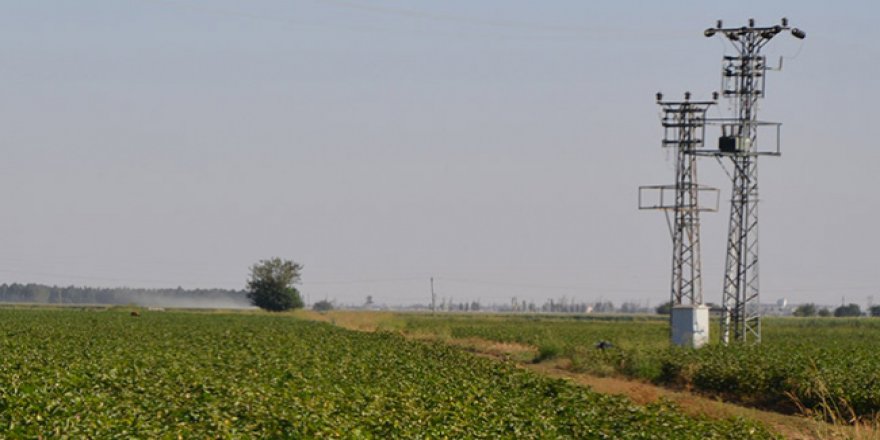 Çiftçiler sıcak hava nedeniyle akşam mesai yapıyor