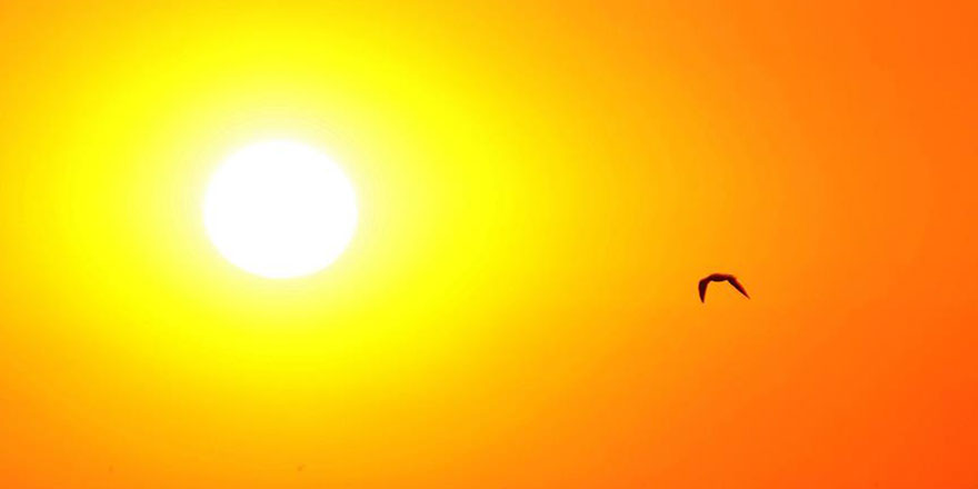 Türkiye'de son 9 yılın en sıcak kasım ayı yaşandı