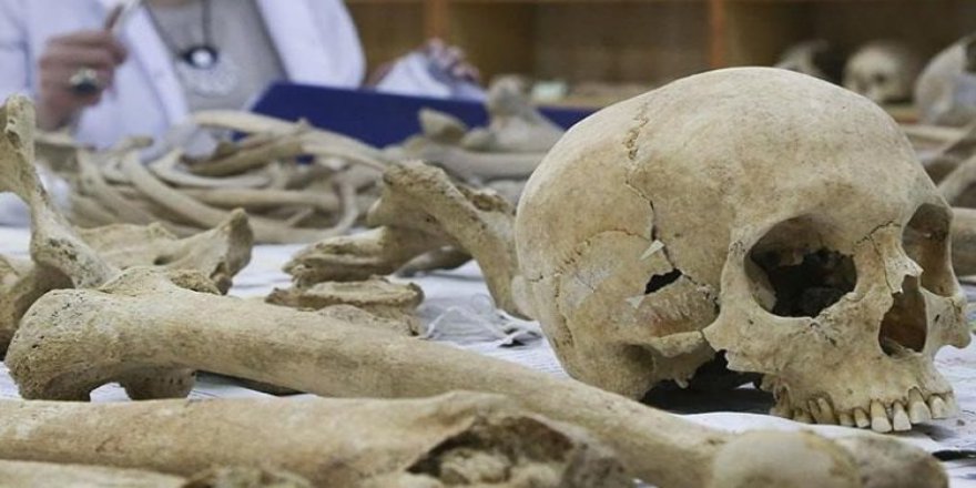 Eski Britanyalıların yamyam olduğu kanıtlandı