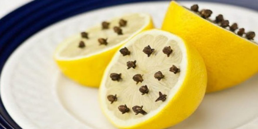 Evdeki sivrisinekleri böyle kaçırın