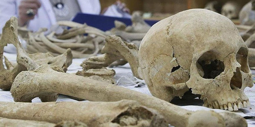 Araştırmacılar, 2 bin yıllık iskelette sağlam beyin hücreleri keşfetti