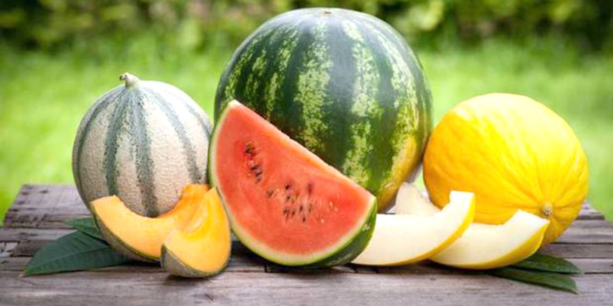 İsraf her yerde: Her yıl 700 milyon ton karpuz ve kavun çöpe gidiyor