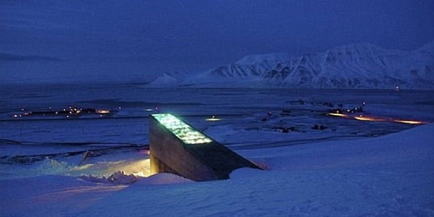 Norveç'te 'kıyamet kütüphanesi' kuruldu