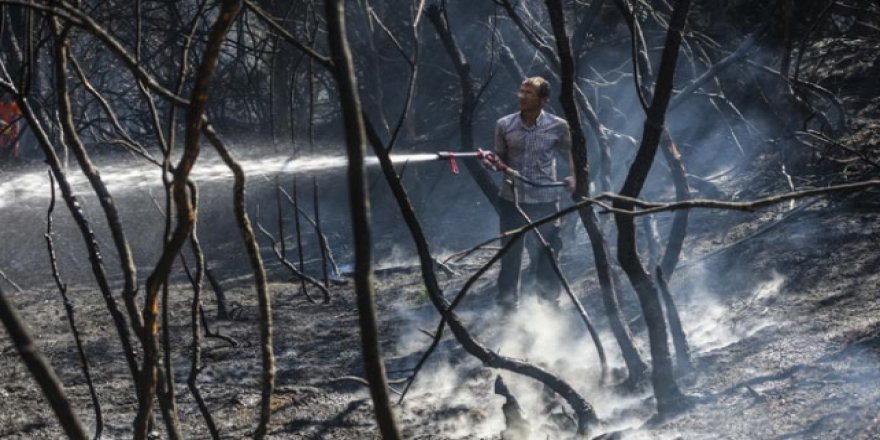 Sarıyer'de ormanlık alanda yangın