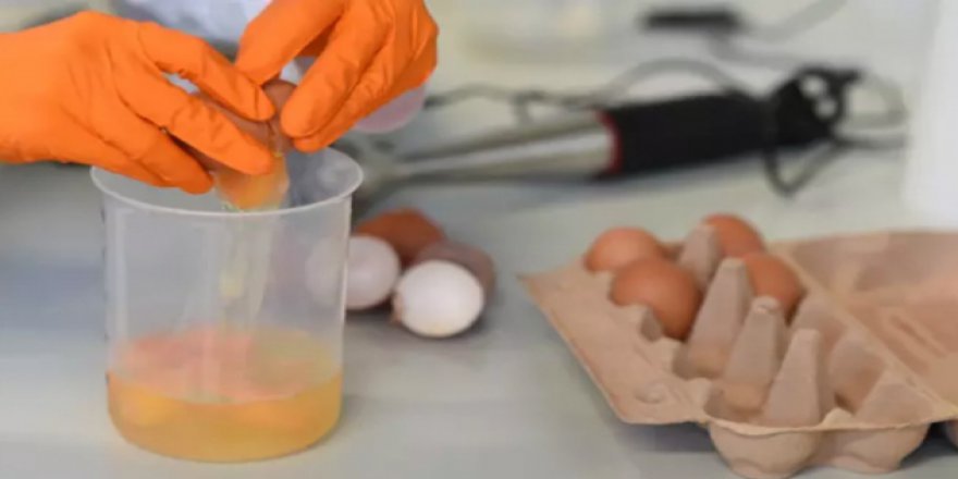Zehirli yumurta skandalı Avrupa'yı karıştırdı