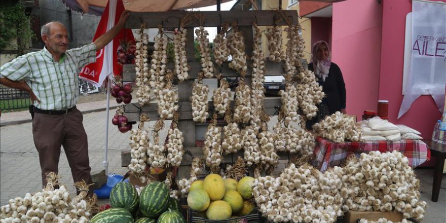 31. Uluslararası Taşköprü Kültür ve Sarımsak Festivali başladı