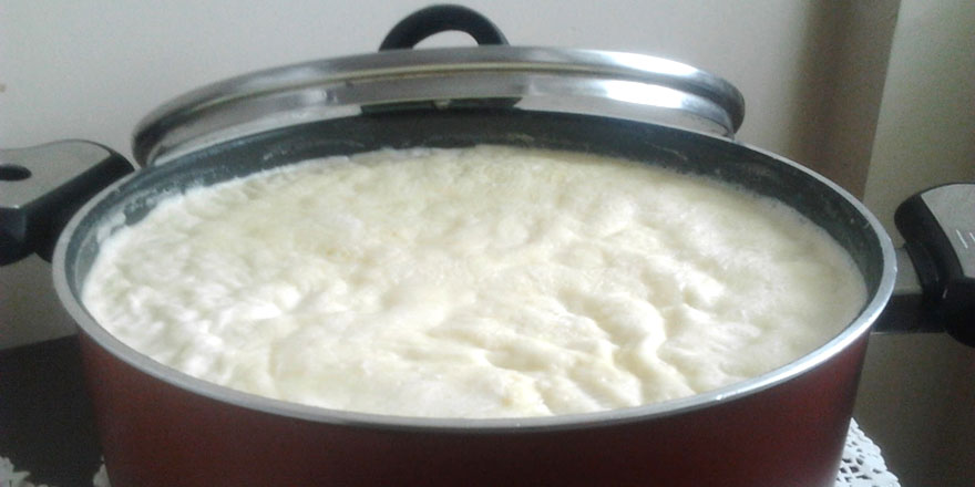 Kainat Eczanesi'nden kefir ve yoğurdun faydaları