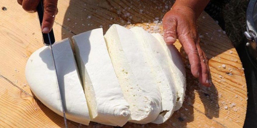 Erzincan tulum peyniri sofralara lezzet katıyor