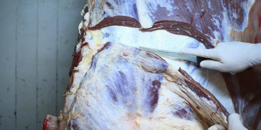 Kasaplardan uyarı: Etleri sakın poşete koymayın!