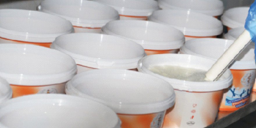 Üniversiteden probiyotik yoğurt