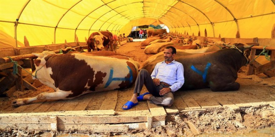 Kurban Pazarları Arefeyi bekliyor