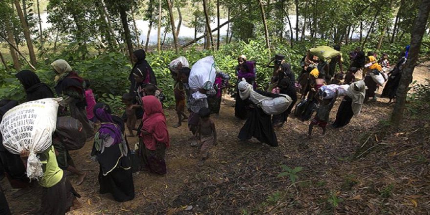 Almanya'dan Myanmar tepkisi