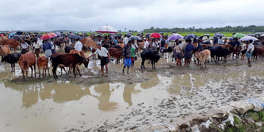 Myanmar heyeti ile Arakanlı Müslümanlar arasında anlaşma sağlanamadı