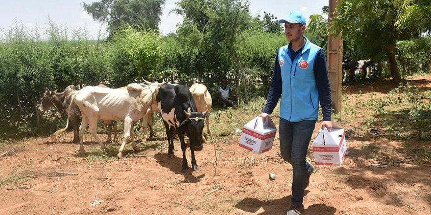 TDV vekalet kurbanları ihtiyaç sahiplerine ulaştırıyor