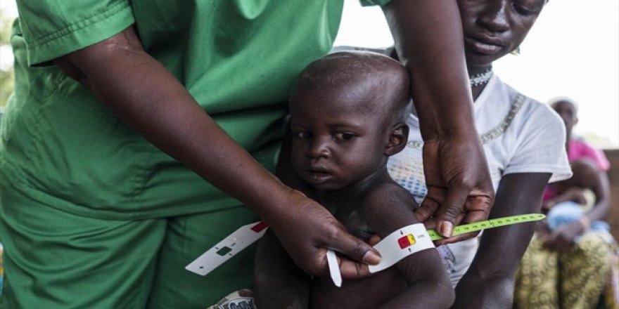 'Çad Gölü bölgesinde 800 bin çocuk yetersiz besleniyor'