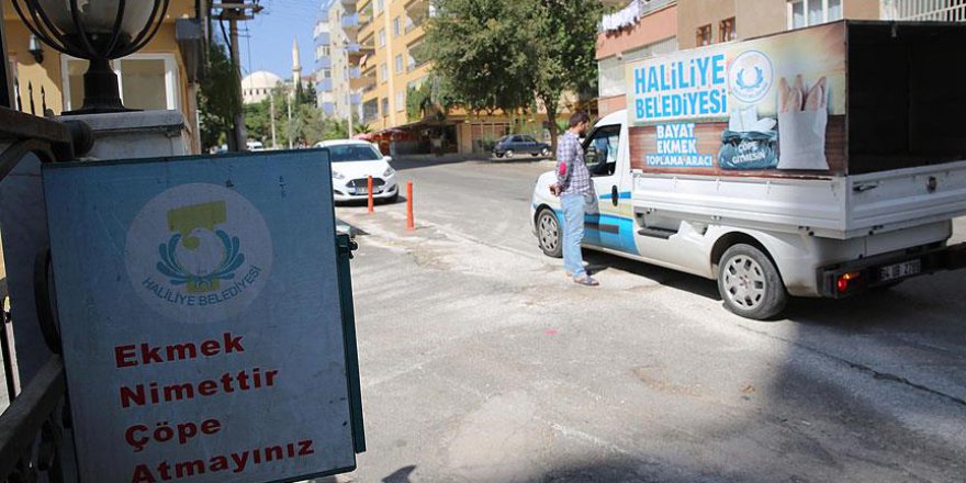 Bayat ekmekler israf olmadan hayvanlar için toplanıyor