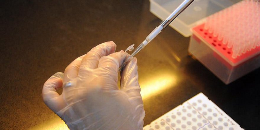 İnsan deri hücreleri motor nöronlara dönüştürüldü