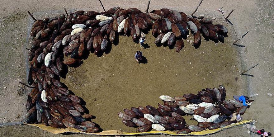 Yılın 6 ayını Doğu Anadolu'nun yaylalarında geçiriyorlar