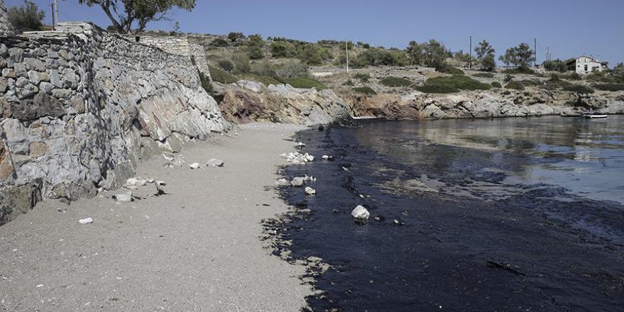 Yunan adasında çevre felaketi