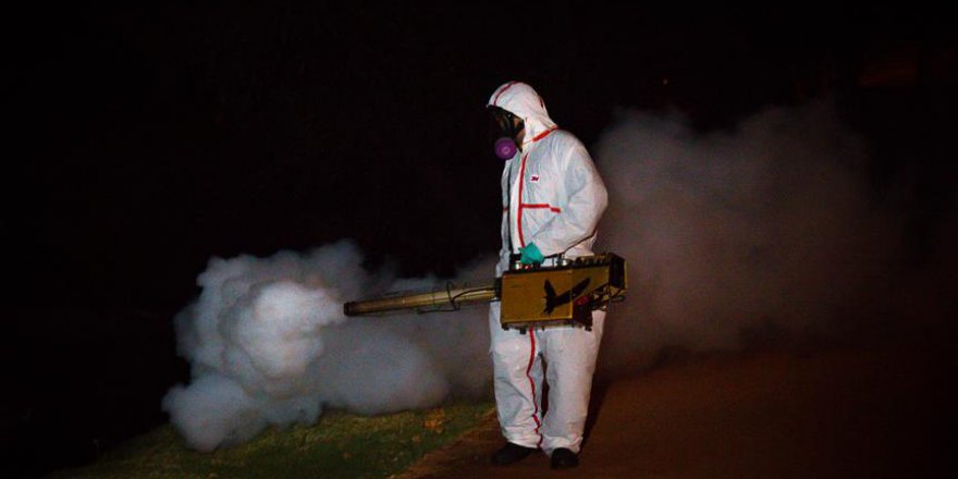 İtalya’da 'chikungunya virüsü' alarmı