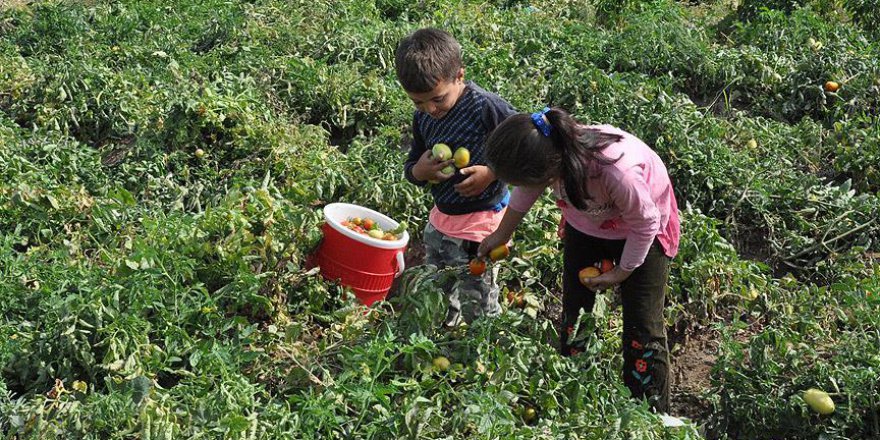 Okul heyecanını geç yaşayacaklar