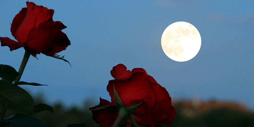 Hicri Yılbaşı, Hicri takvim nedir, ne zaman başlıyor