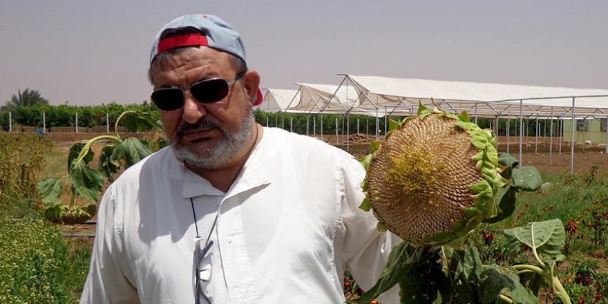 Sudan’da 70 milyon hektar arazi kullanılmıyor