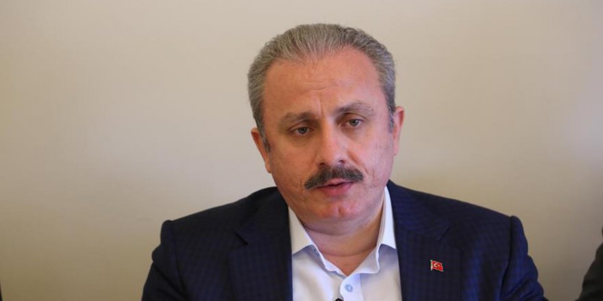 Şentop: İsrail'in bölgede bir tampon bölge oluşturma isteği var