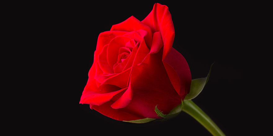 Ümmetim hakkında en çok korktuğum şey, ağzı iyi laf yapan münafıktır