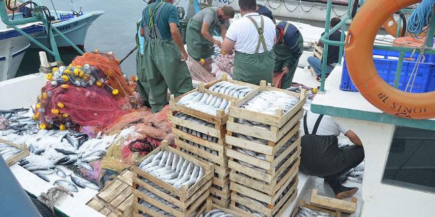 Palamut balıkçıların yüzünü güldürdü