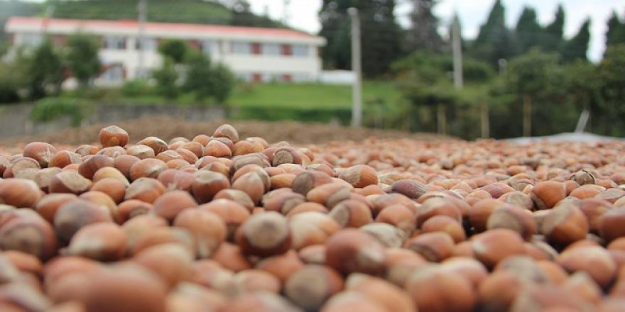 Fiskobirlik 60 kişiyi işe alacak