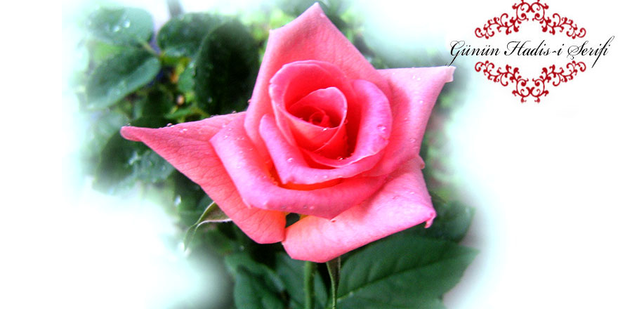 Duaların en hayırlısı Arefe gününde yapılandır