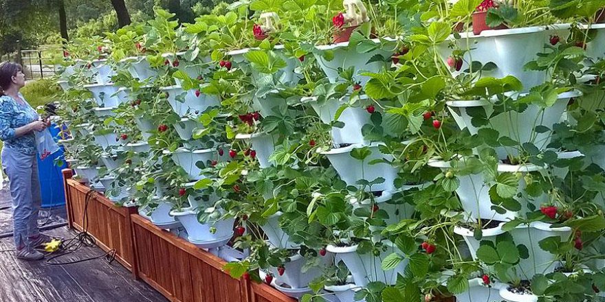 Bosna Hersek'te gıda ve yaşam güvenliğini destekleme programı