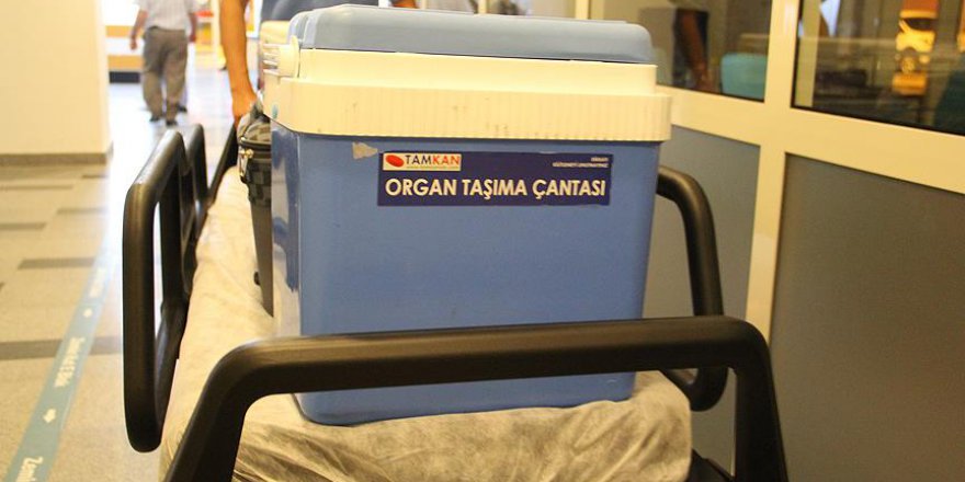 Nakillerde suistimallere karşı 'uluslararası kayıt sistemi'