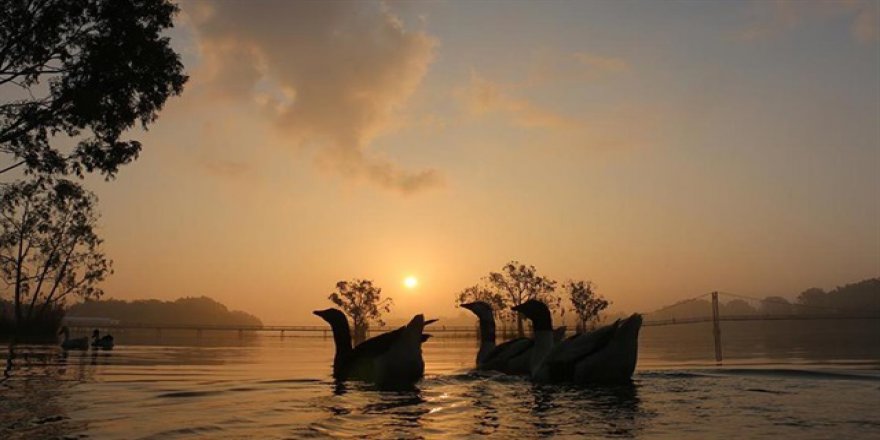 Türk bilim insanından güneşe enerjisine rakip teknoloji