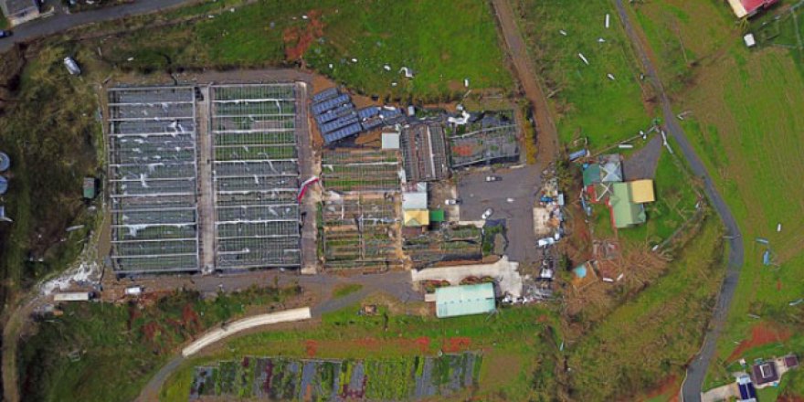Kahverengi nehirler uzaydan göründü!