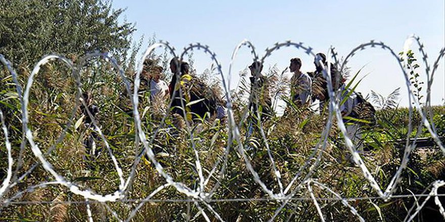 Sığınmacılara tekme atan gazeteciye hapis