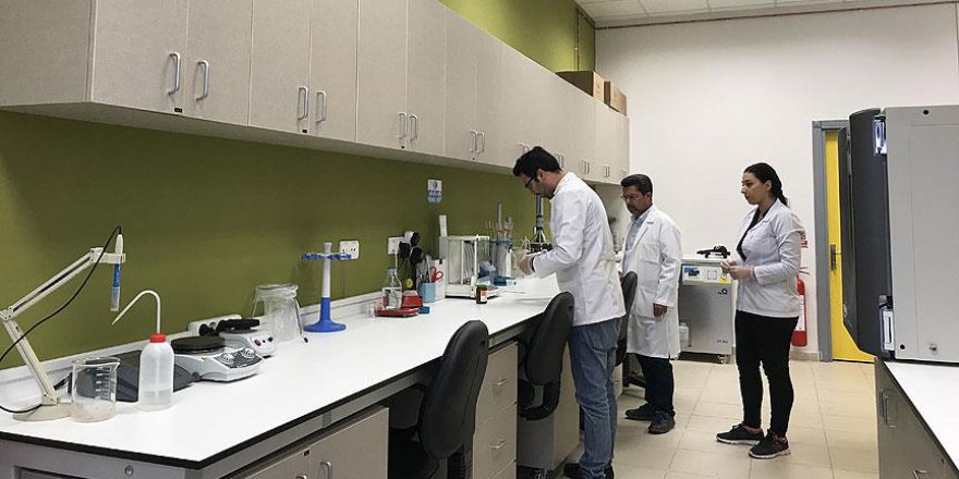 Sanayi kentinin 'biyoçeşitliliği' koruma altında