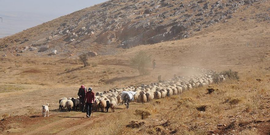 Göçerlerin zorlu dönüş yolculuğu devam ediyor