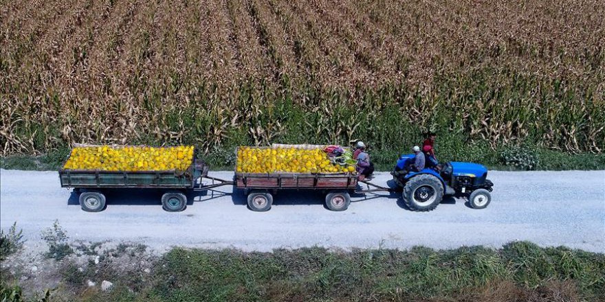 Bayraktar: Traktör sayısında Manisa lider